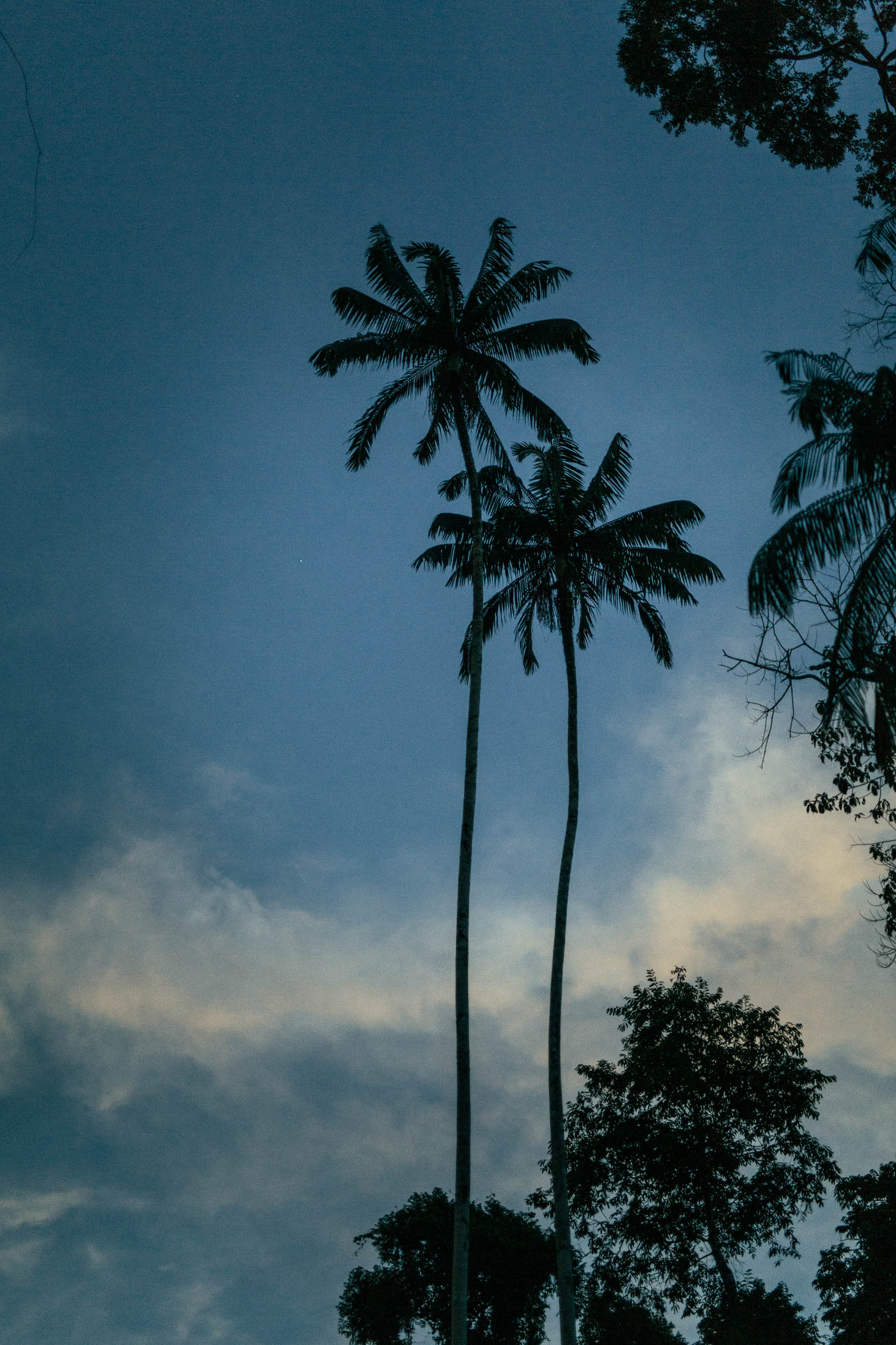 The Datai, Langkawi